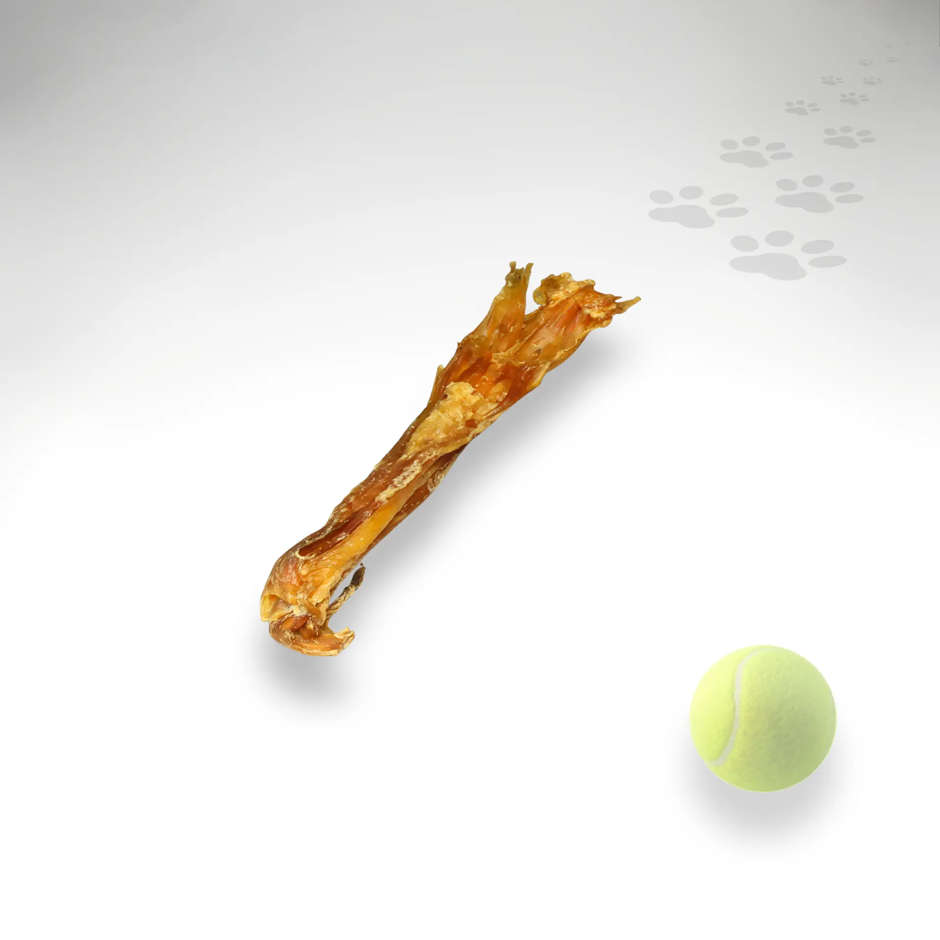 Achillessehne Pferd Grössenvergleich Achillessehne vom Pferd im Gröößenvergleich