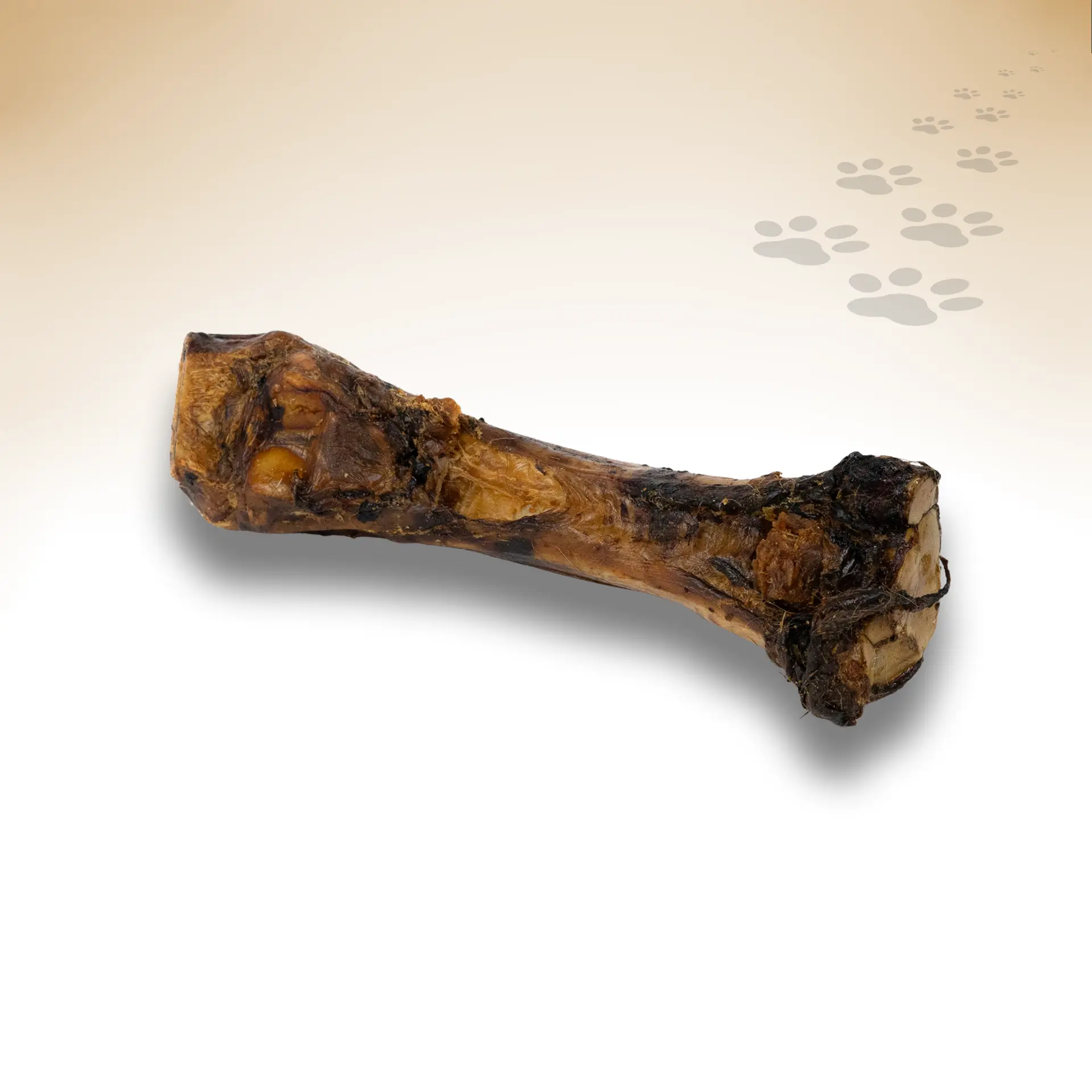 Pferde-Unterbein_75295_1920x1920_01 Pferde-Unterbein_75295_1920x1920_01