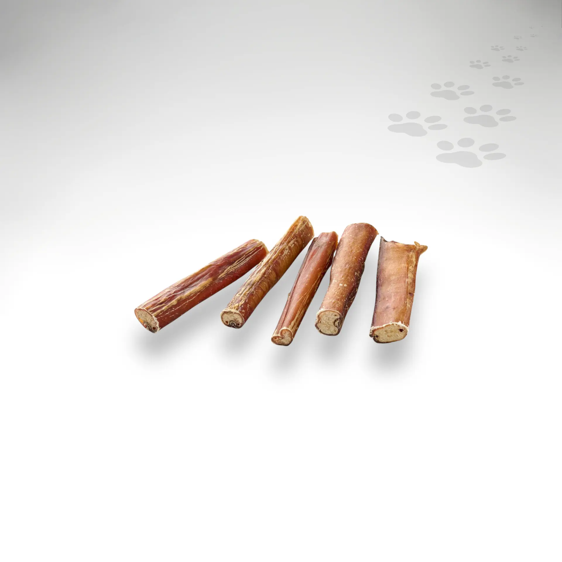 68812-Ochsenziemer-12cm_1920x1920_01 68812-Ochsenziemer-12cm_1920x1920_01