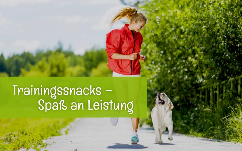 Trainingssnacks Trainingssnacks