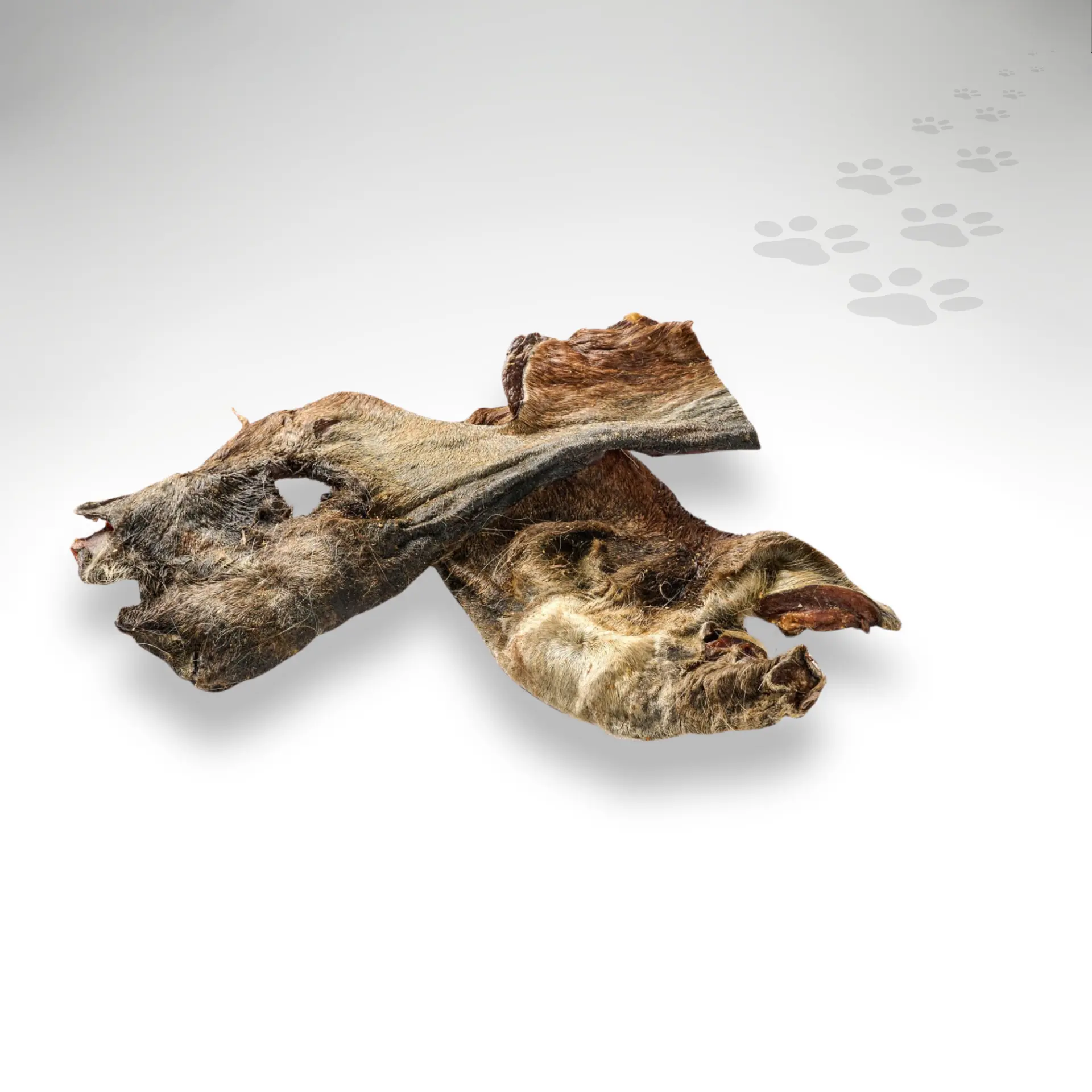 Pferdenasen Pferdenasen