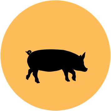 Schwein