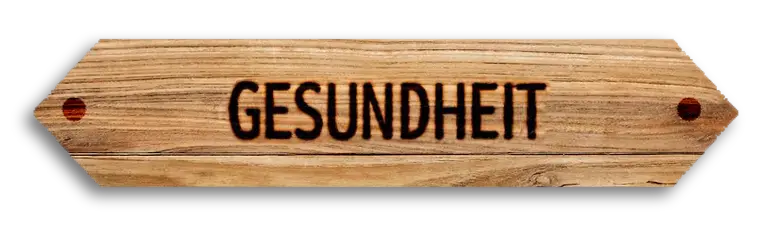 Themenbereich Gesundheit