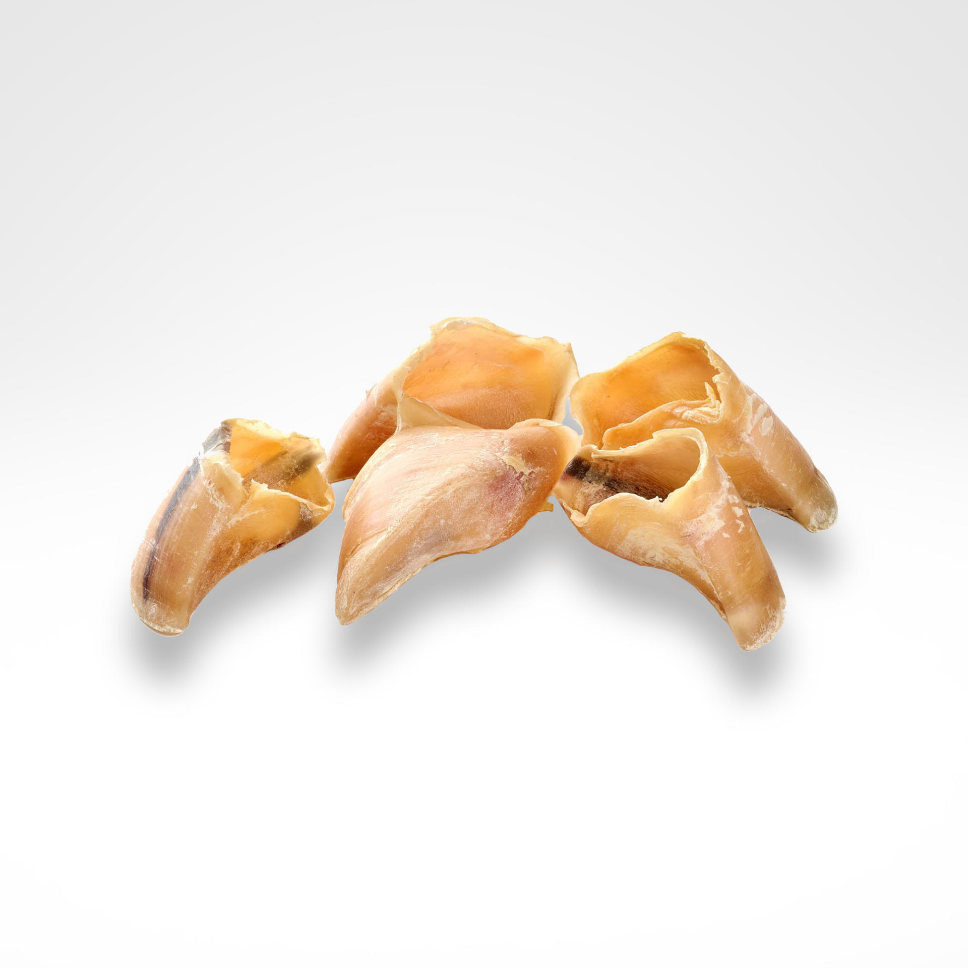 Kalbs Hufe: 100% natürliches Horn Kalbs Hufe: 100% natürliches Horn