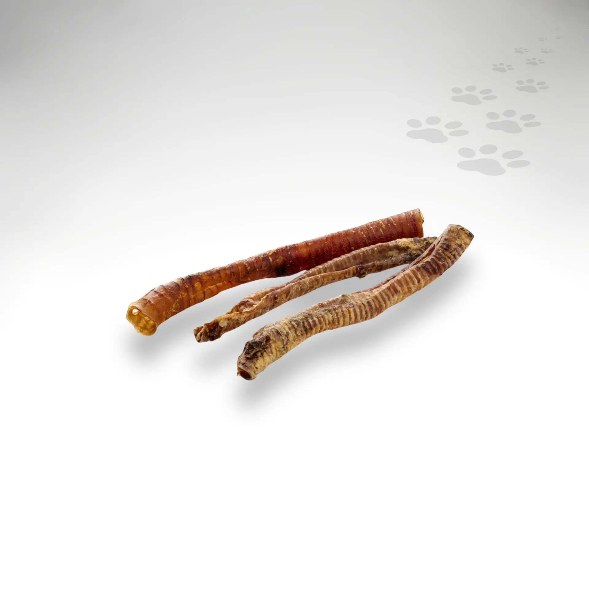 Pferde-Mixtuete_75525_1920x1920_04 Pferde-Mixtuete_75525_1920x1920_04