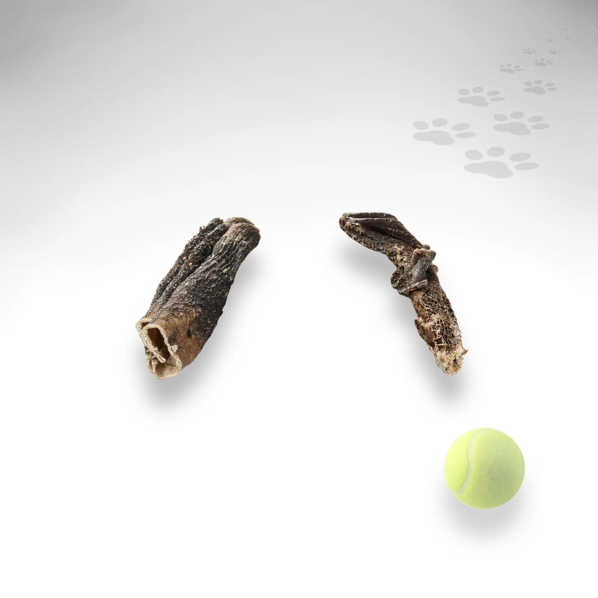 Rinder-Pansen-Kurz_97115_1920x1920_02