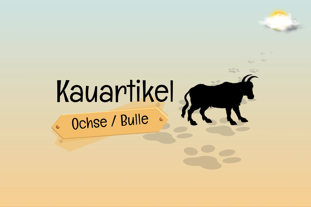 Kauartikel vom Ochsen / Bullen