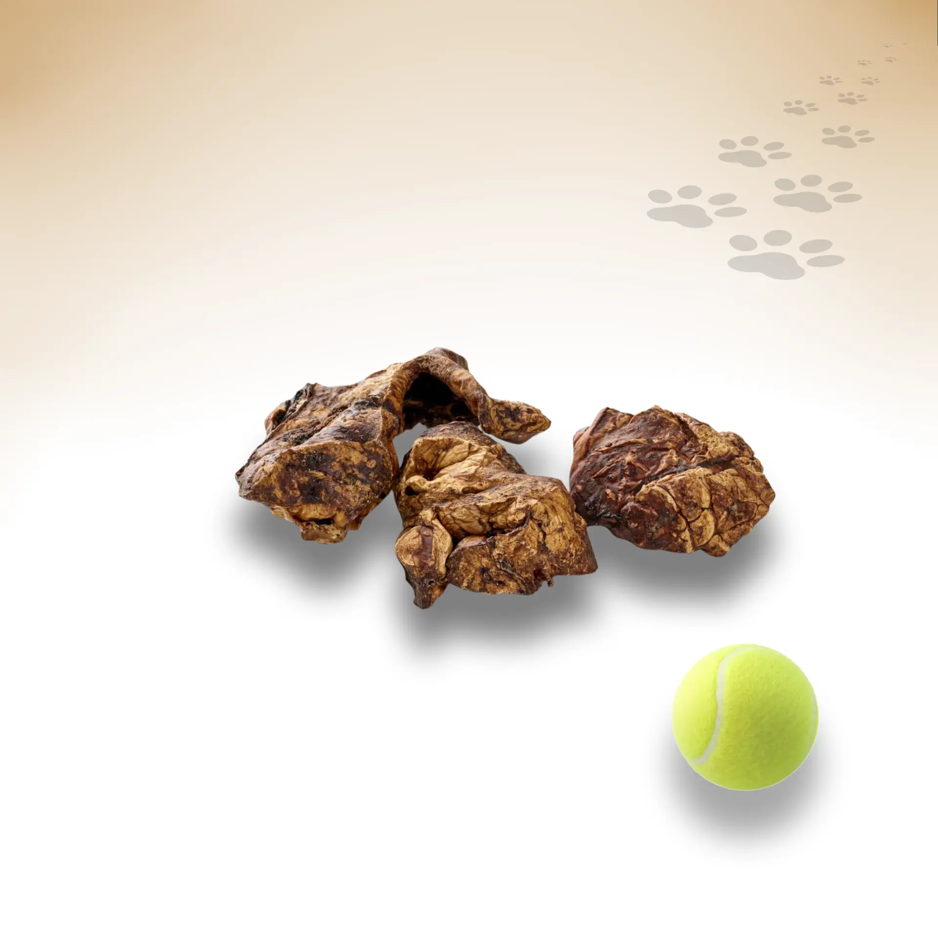 93755_Rinder-Lunge_1920x1920_02 93755_Rinder-Lunge_1920x1920_02