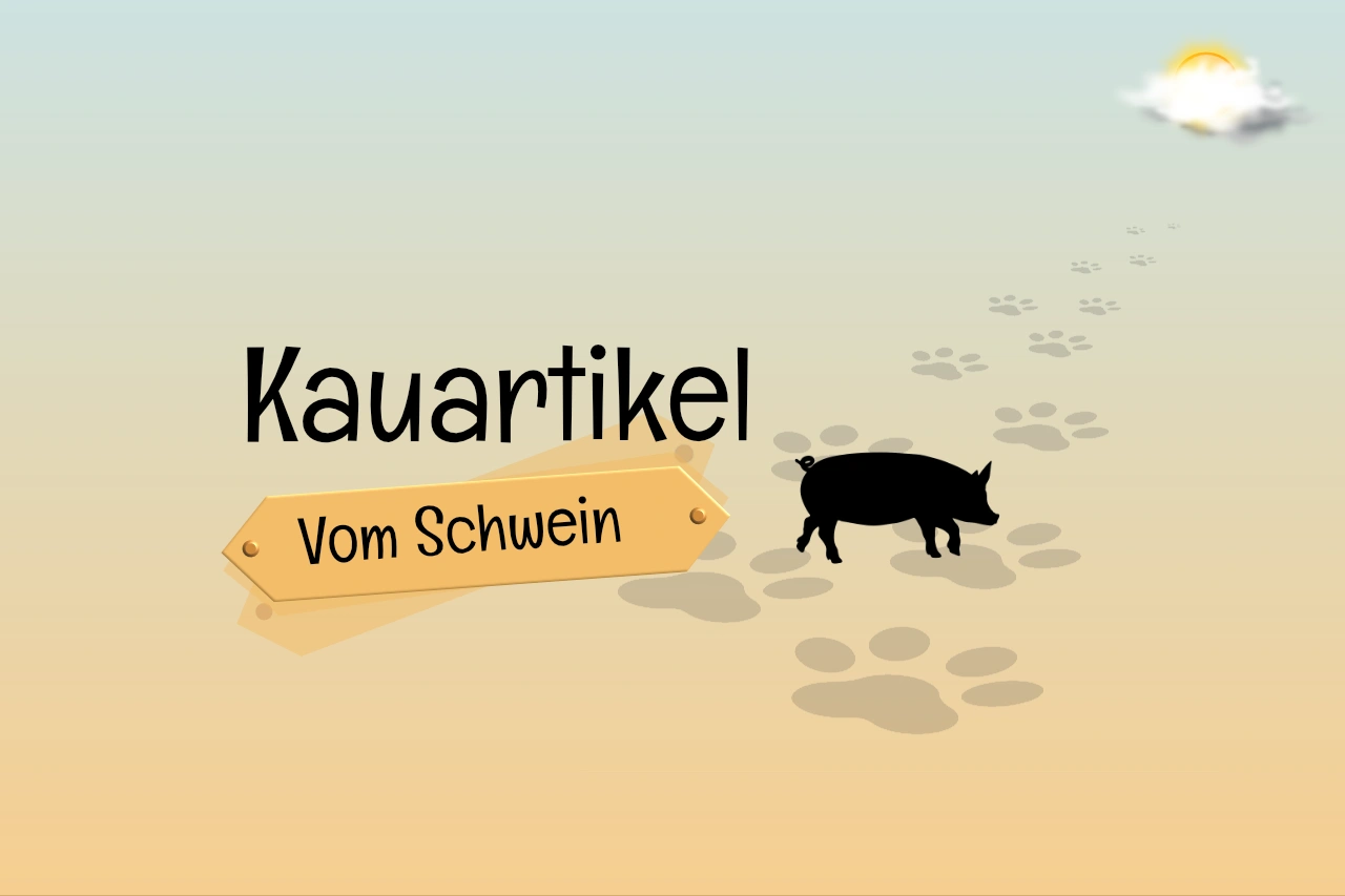 Kauartikel vom Schwein