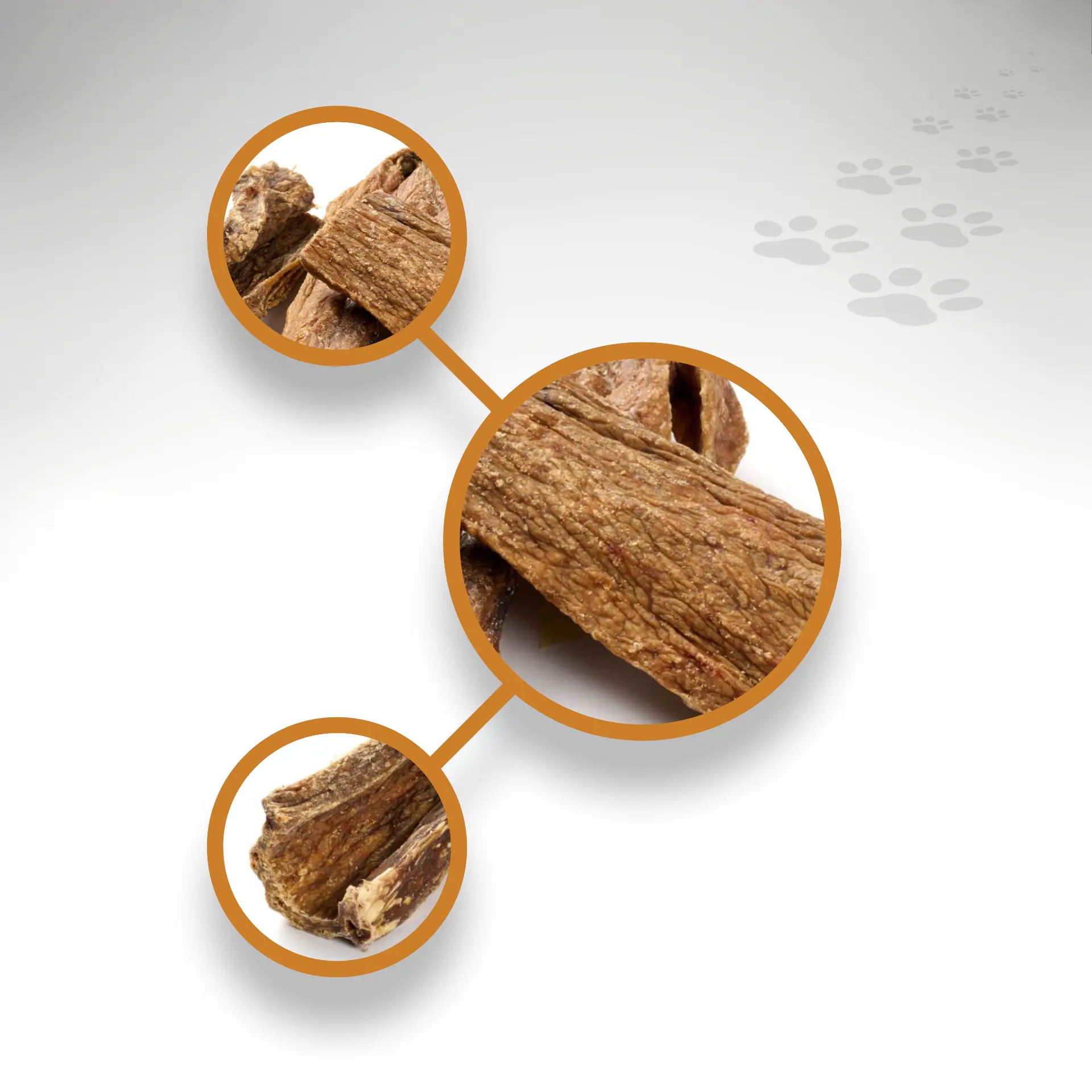 95295_Rinder-Euter_1920x1920_04 95295_Rinder-Euter_1920x1920_04