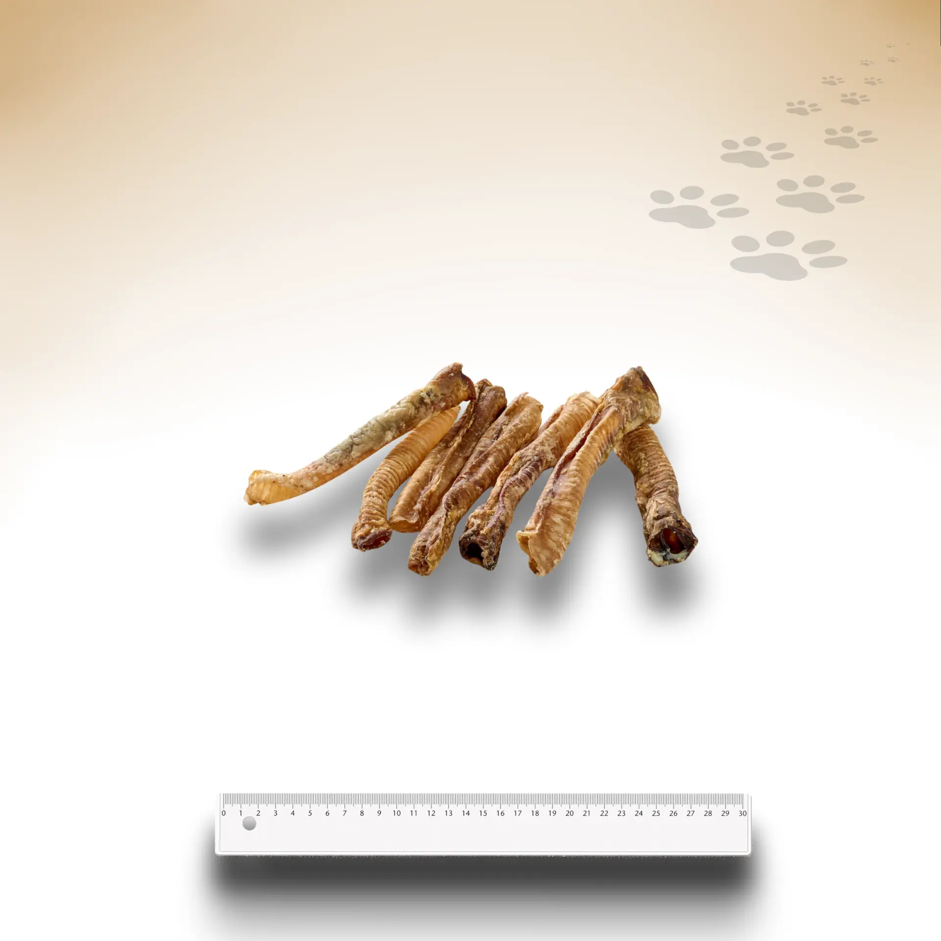 Lamm-Strossen_31296_1920x1920_02