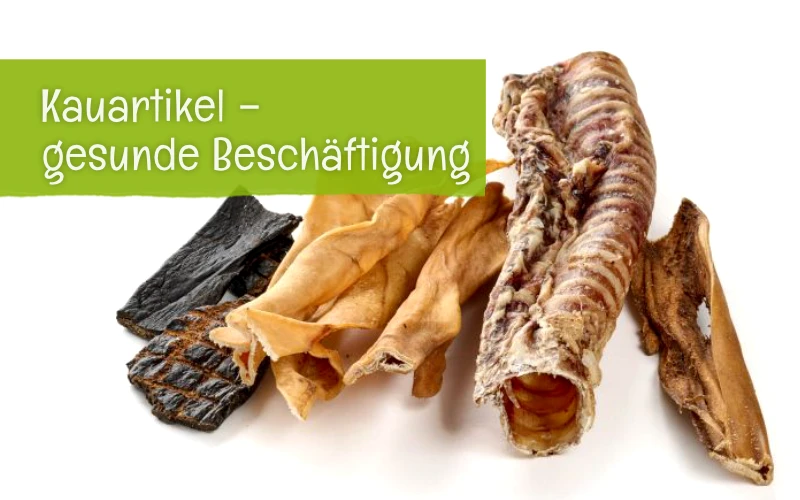 Gesunde Kauartikel für Hunde Gesunde Kauartikel für Hunde