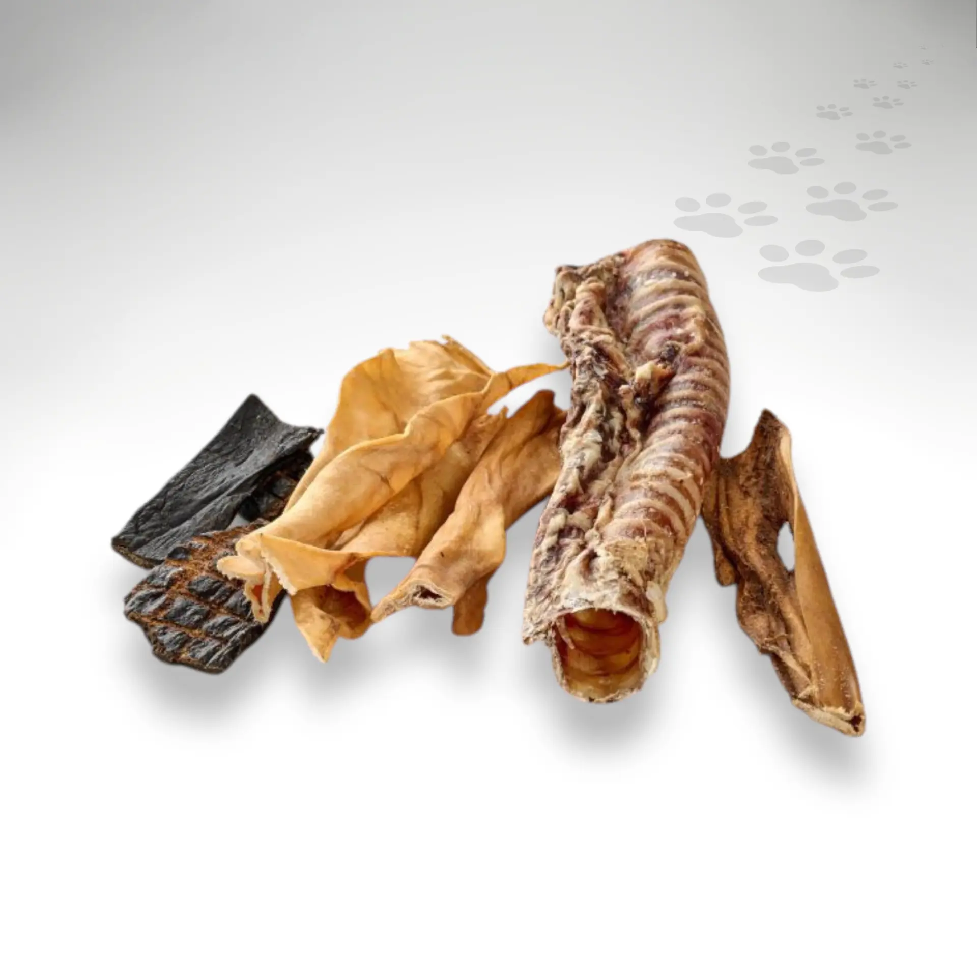 Pferde-Mixtuete_75525_1920x1920_01 Pferde-Mixtuete_75525_1920x1920_01