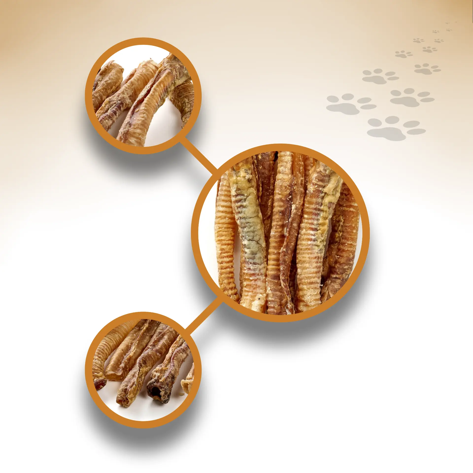 Lamm-Strossen_31296_1920x1920_04 Lamm-Strossen_31296_1920x1920_04