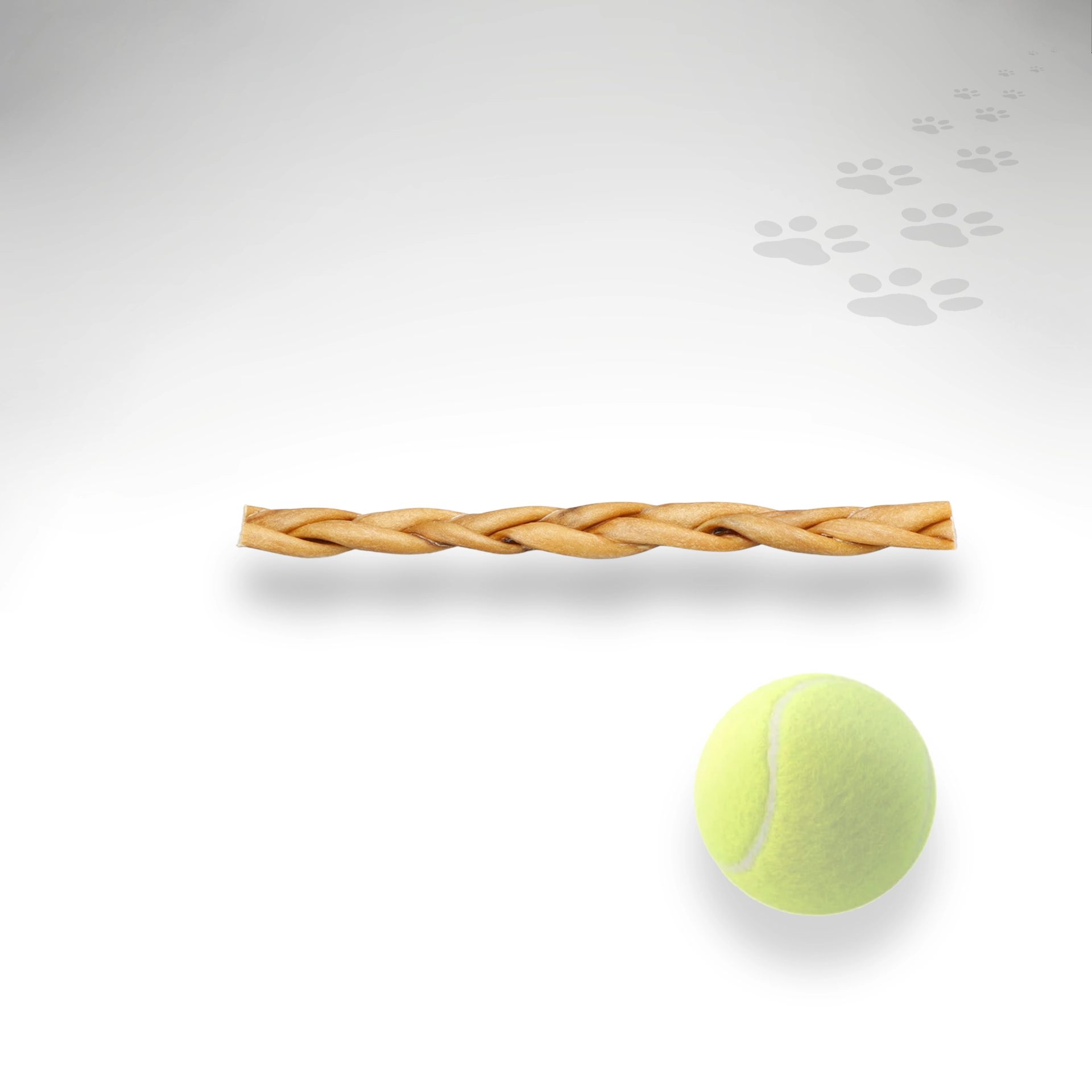 Pferdezopf Größenvergleich Einzelstück getrockneter Pferdezopf mit Größenvergleich