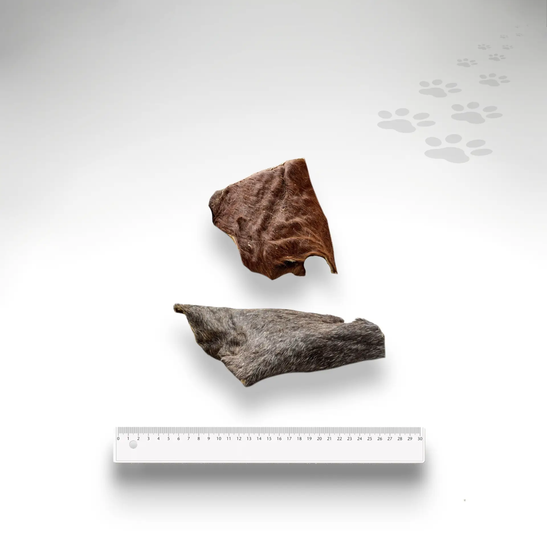 Pferde Hautplatten mit Fell Größenvergleich Pferde Hautplatten mit Fell und Größenvergleich