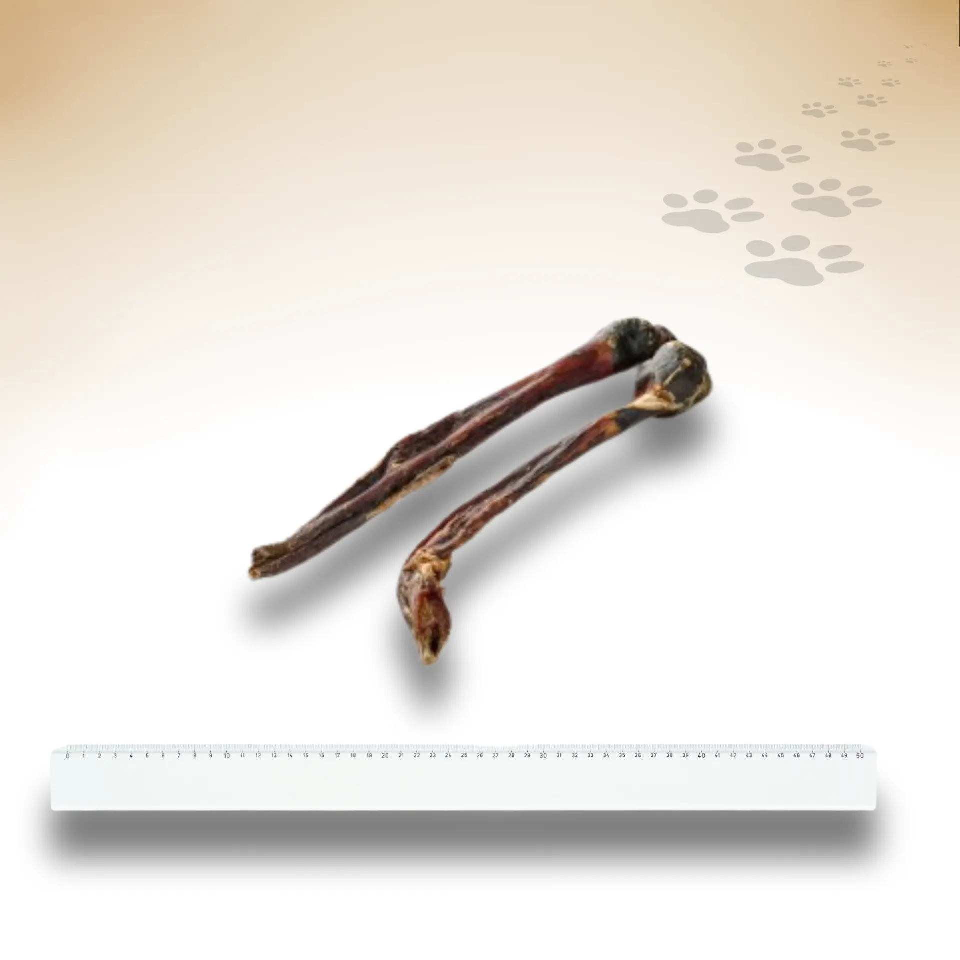 Pferdeziemer_78559_1920x1920_02