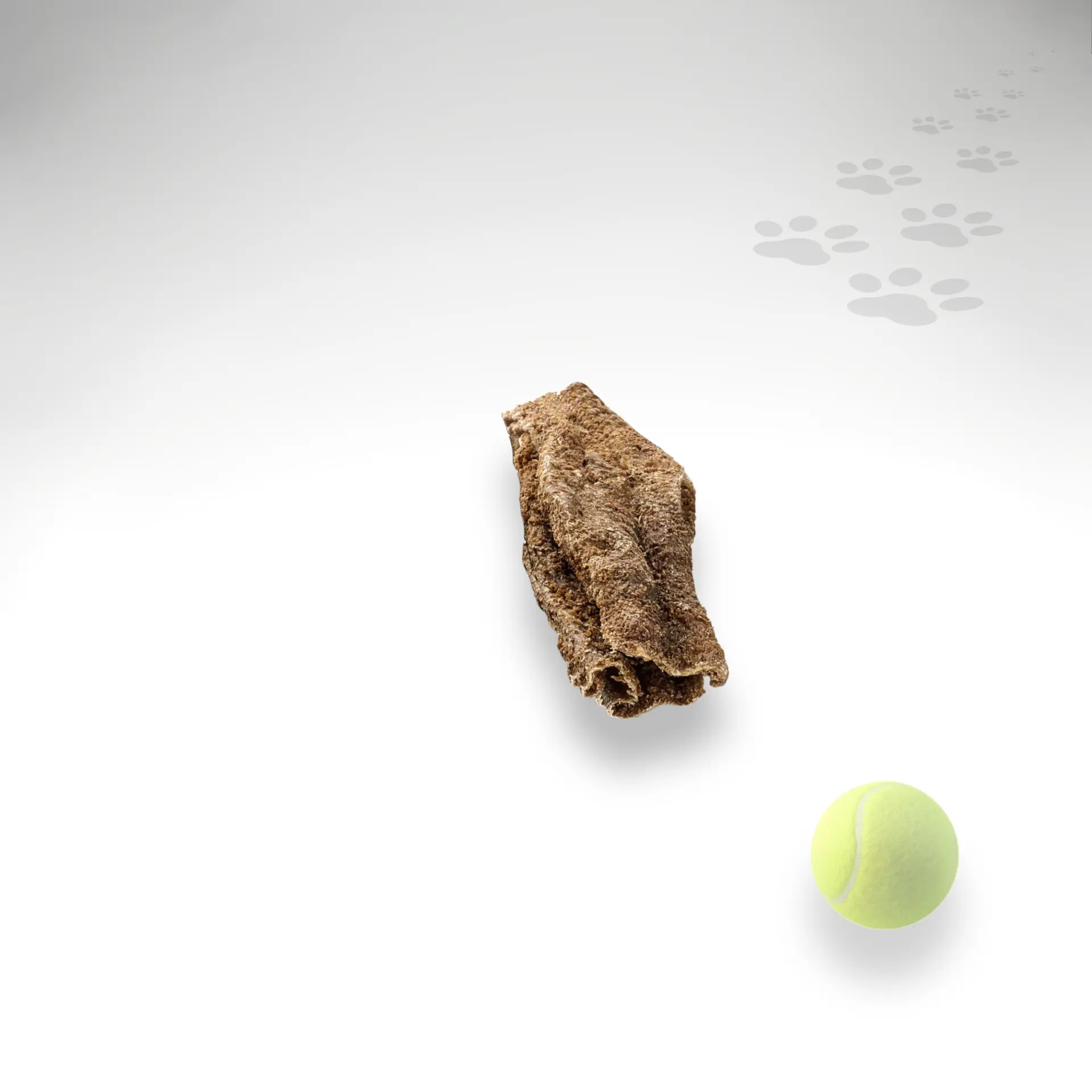 Rinder-Pansen-Kurz_97115_1920x1920_03