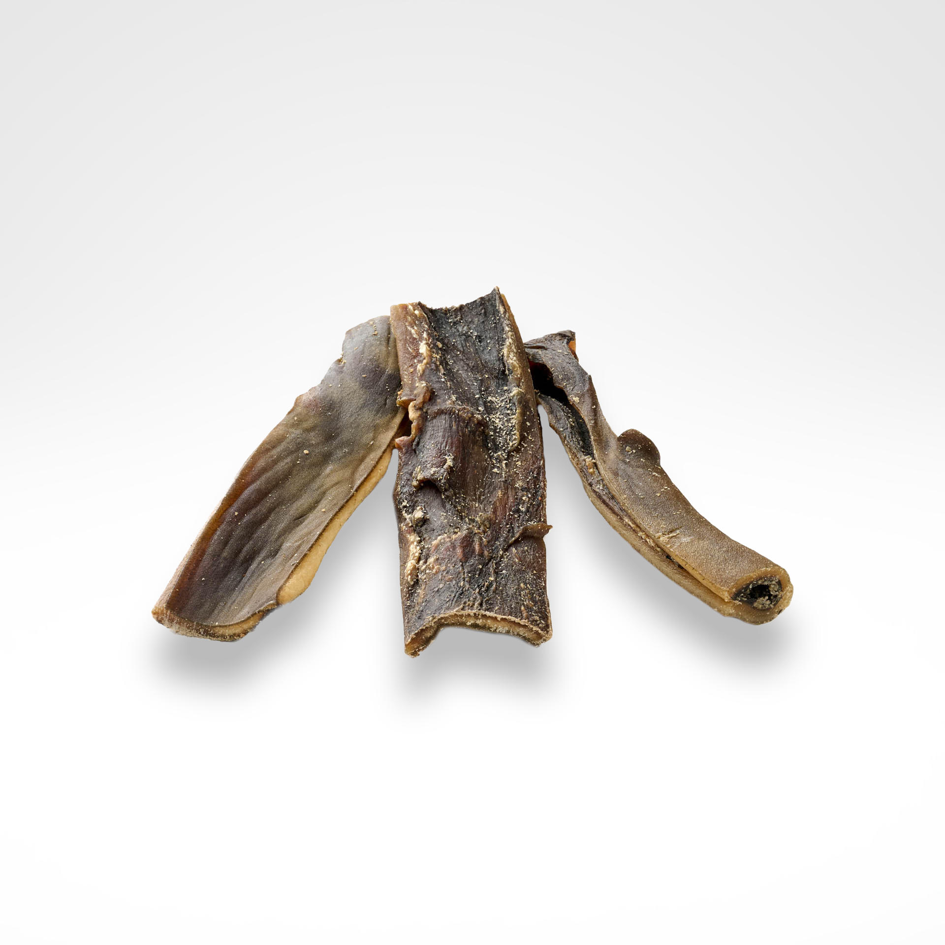 Kamel-Kopfhaut-01_1920x1920 Kamel-Kopfhaut-01_1920x1920