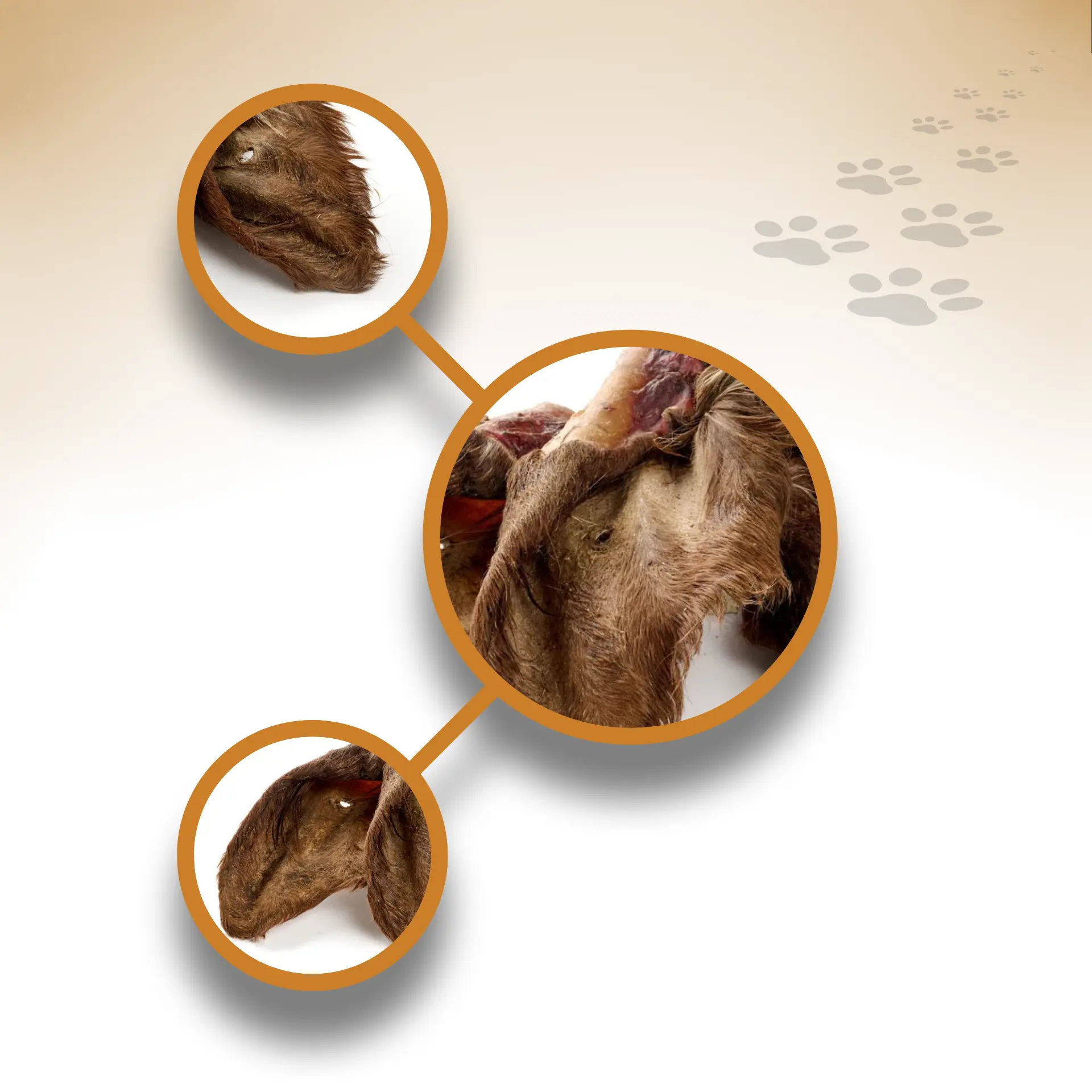 Rinder-Ohren-Fell_96956_1920x1920_04 Rinder-Ohren-Fell_96956_1920x1920_04