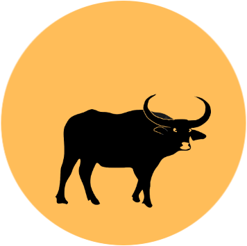 Büffel