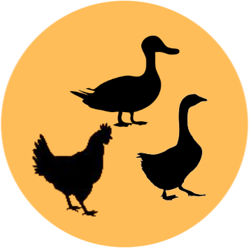Geflügel