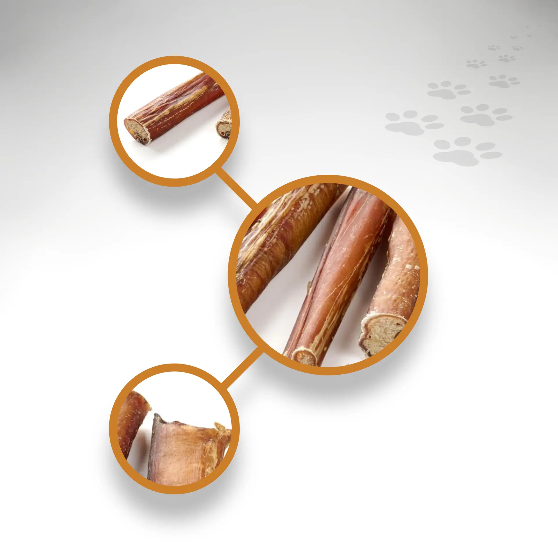 68812-Ochsenziemer-12cm_1920x1920_04 68812-Ochsenziemer-12cm_1920x1920_04