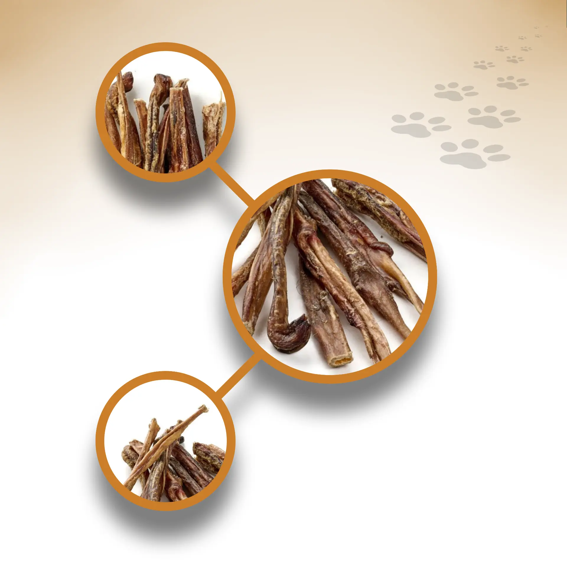 Lamm-Ziemer_32559_1920x1920_03