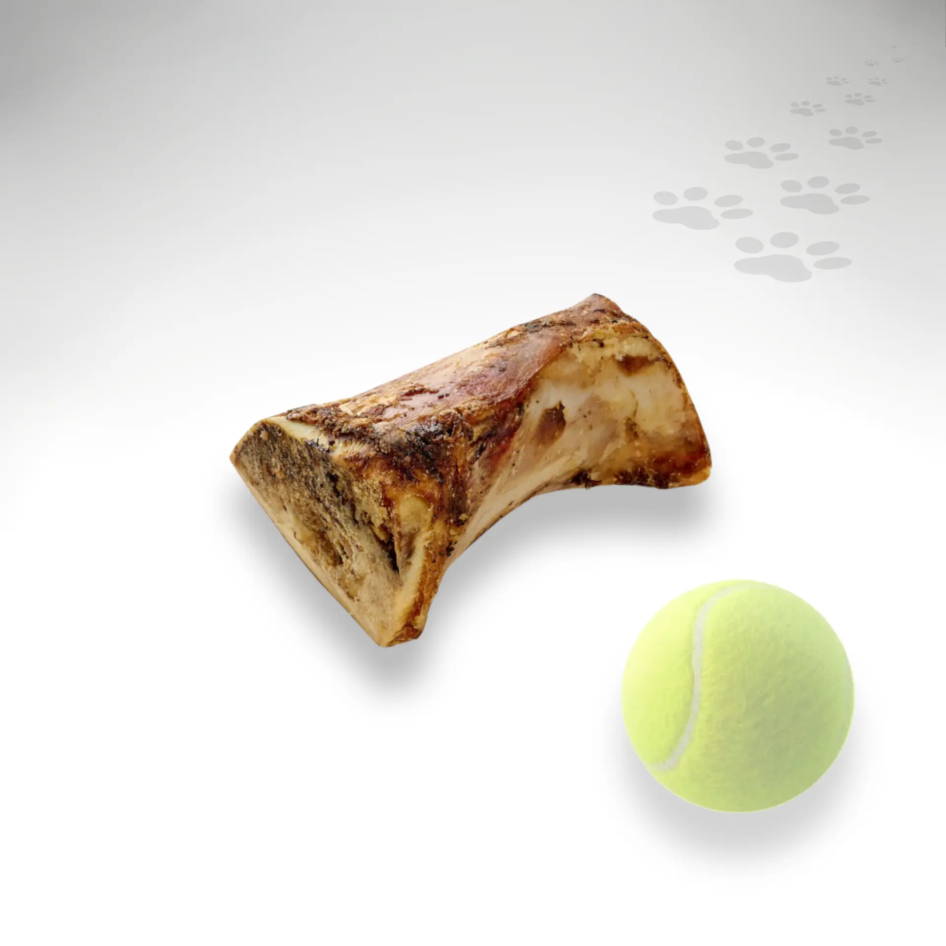 Pferde Markknochen Markknochen vom Pferd